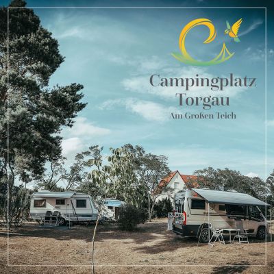 Website für Campingplatz Torgau